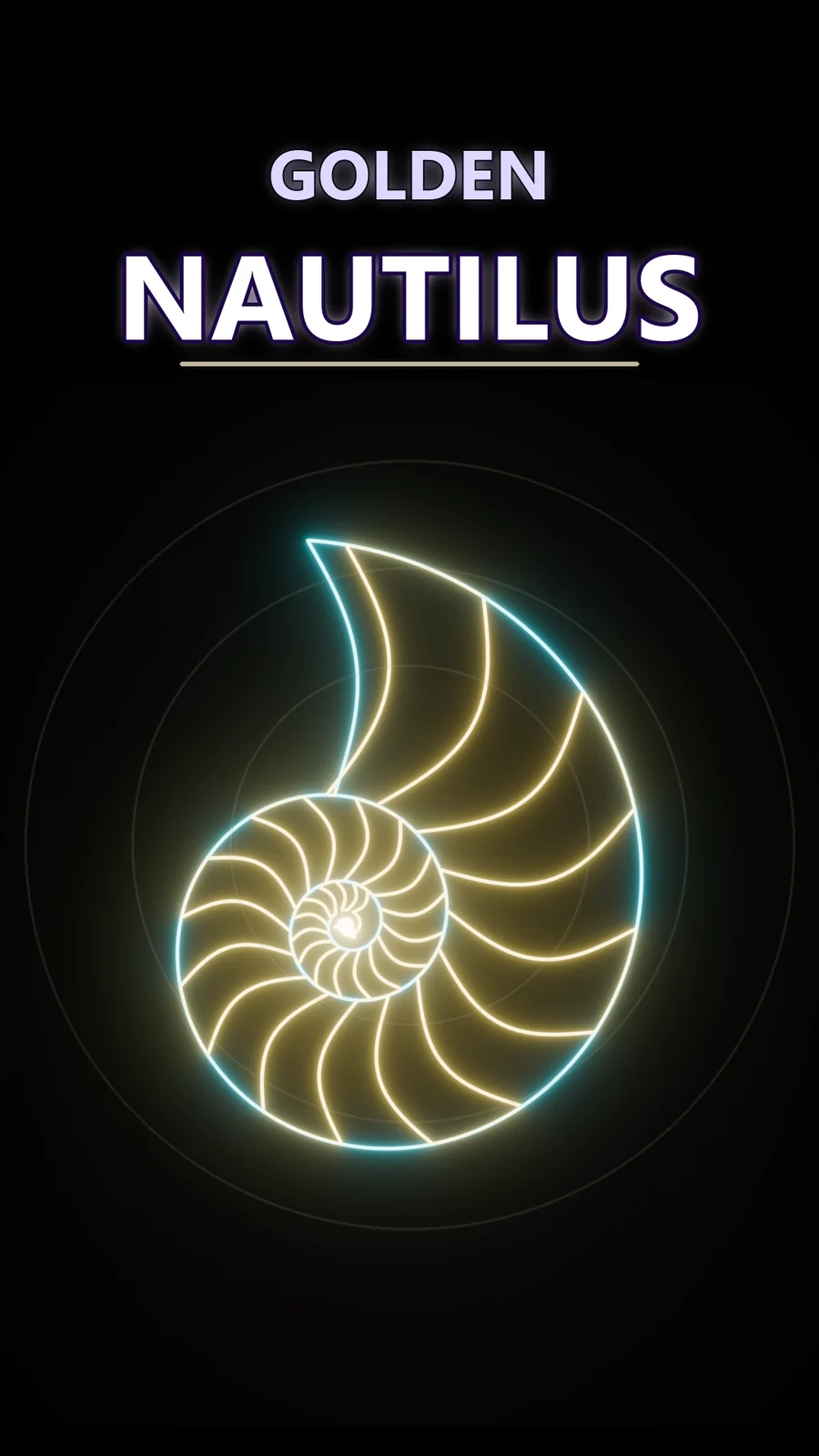 How Pure Math Built a 500-Million-Year-Old Shell